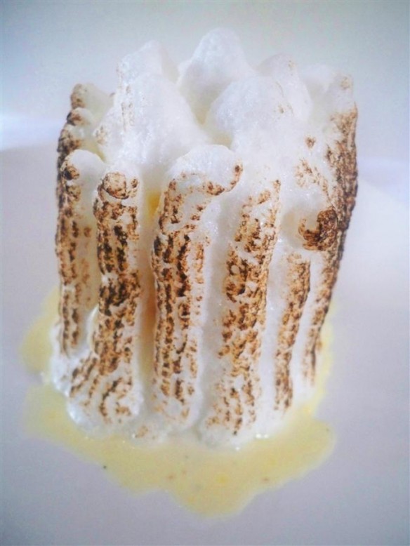 Vanilla Ice Cream and Mango Sorbet Baked Alaska