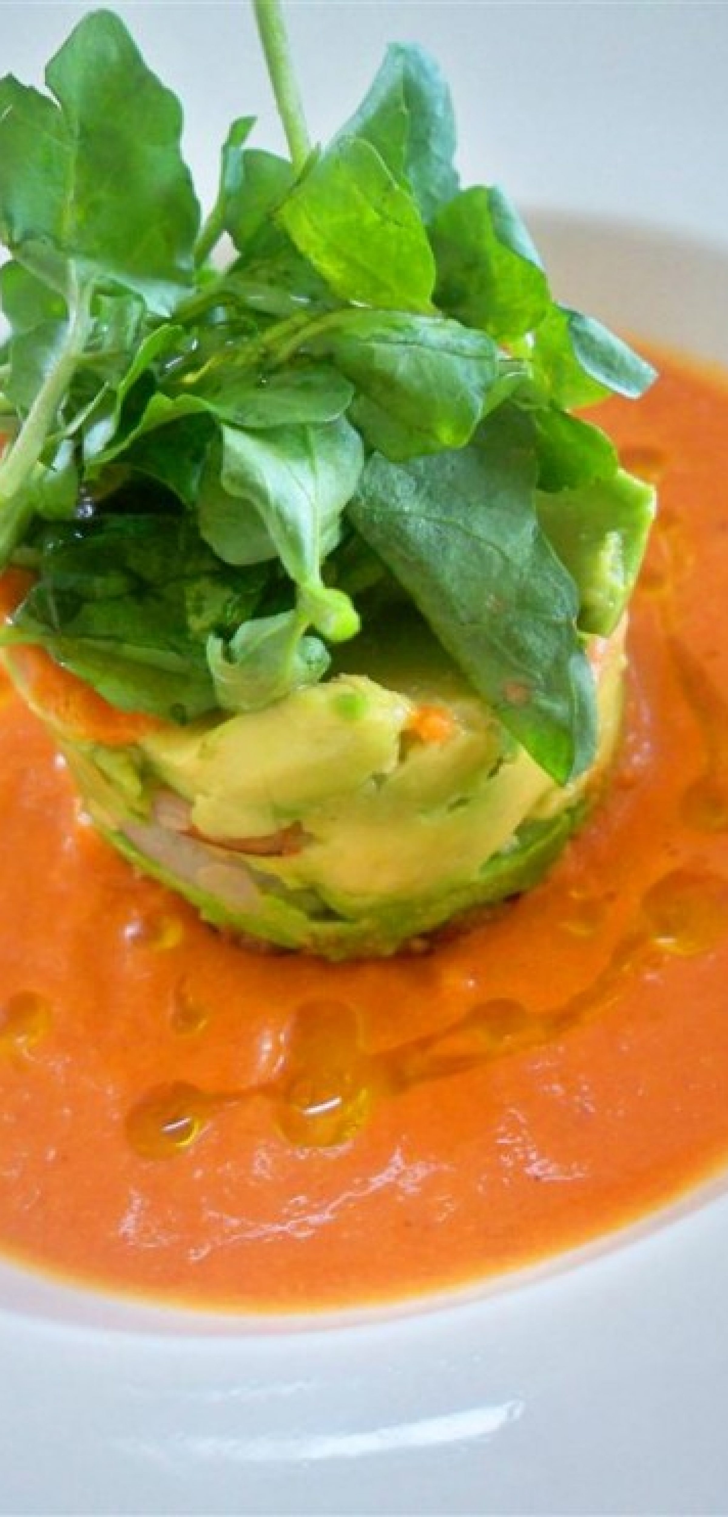 Gazpacho