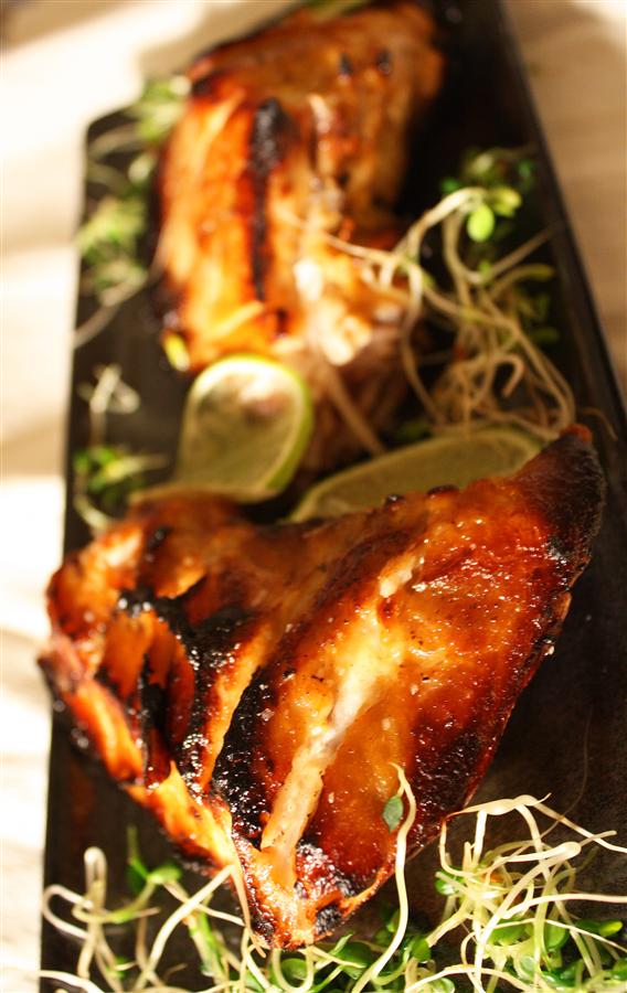 Orange miso glazed Yellowtail collar (Custom)