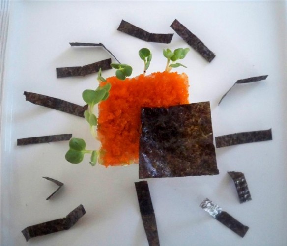 Spicy Salmon Sushi my style (Custom)