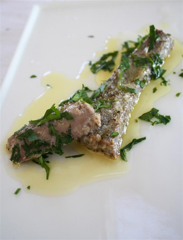 Preserved Tuna (Custom)