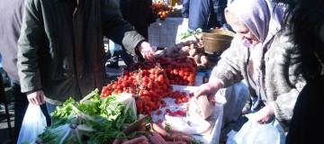 IMG00159-20100123-1019 (1024x768)