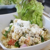 IMG_2995 (1024x683)
