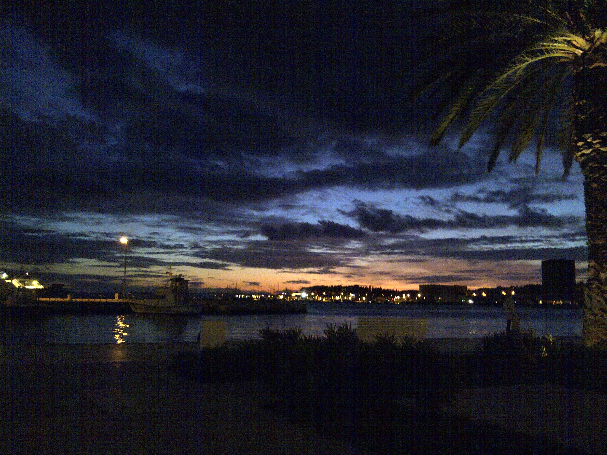 The harbor and palm tree beneath a deep blue evening sky