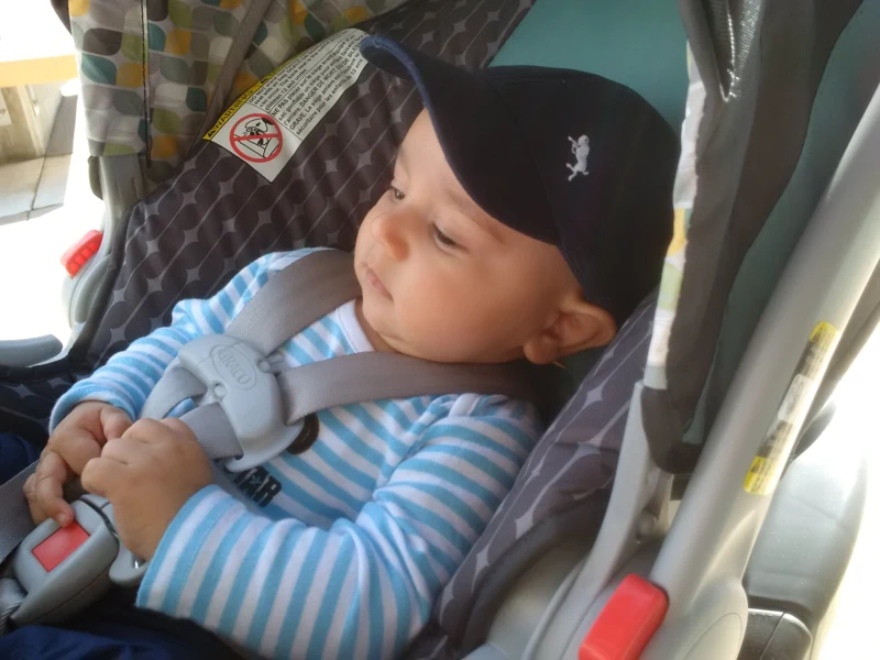 Xavier, affectionately called X, in April 2016