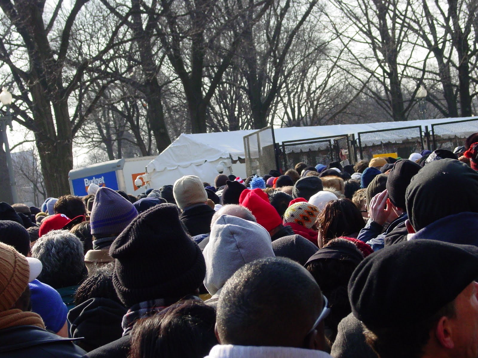 A wide view of inauguration crowds before the flag-draped U.S. Capitol, framed by bare branches